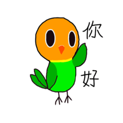 Moomoo牡丹鸚鵡的日常生活