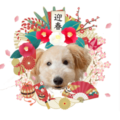 Anko-chan's  New Year & Xmas Stickers