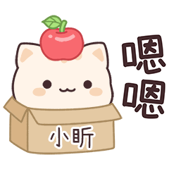 小星貓姓名貼2_小盺專用