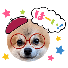 3匹の愛犬stamp