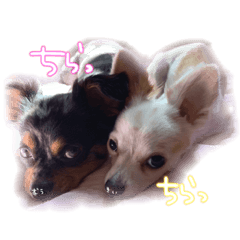 yukari_20211219215735