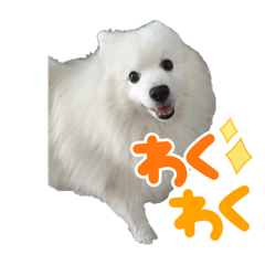 aoi_20211219221040