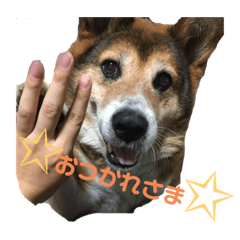 CHIHIRO_20211219210409