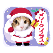 warabi_20211220100145