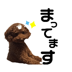 Moo_20211219222324