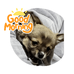 himawari_20211220073252