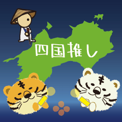 small tiger Shikoku