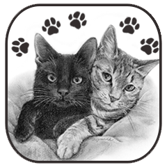 Animals Pencil Drawing Vol.2 -All cats-