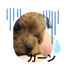 saori_20211220124730