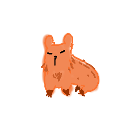 ringo_20211220140457