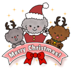 3 toypoodles Seasonal greetings