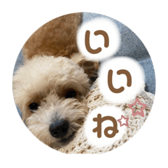 ayumi_20211220145443