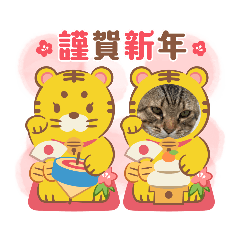 nyanko_20211220161943