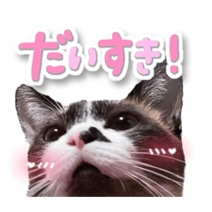 miki_20211220183443