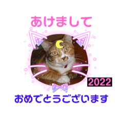 Asako_20211220203525