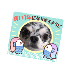 nozomi_20211220212354