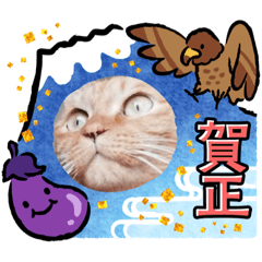 shiho_20211220213632