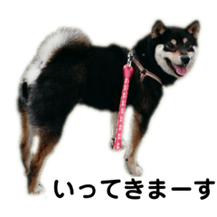 ayumi_20211220230053