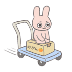 rabbit_20211221024530