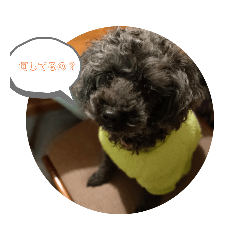 TAKI_20211220181457