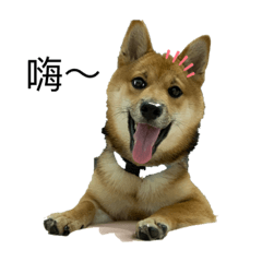 Boo_20211220174027 - LINE スタンプ | LINE STORE