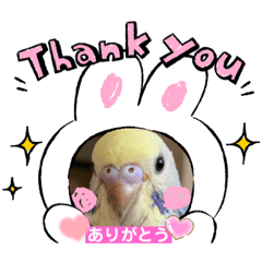rina_20211221041433