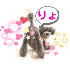 junko_20211221102519