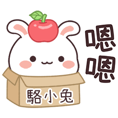 嬌嬌兔姓名貼_駱小兔專用