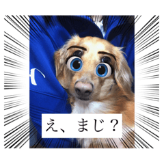 kuu_20211220225407