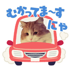 nanami_20211220231940