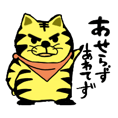chie_20211221001920