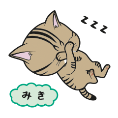 [Only for Miki](brown tabby)