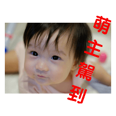 YOUNG-N(7)