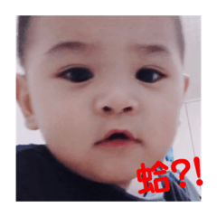 移動的爸媽1.0