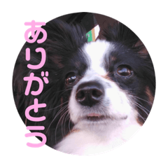 vonurigosso_20211221131404