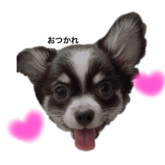 Smile_20211221205234