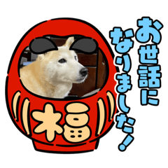 ringo_20211221205146