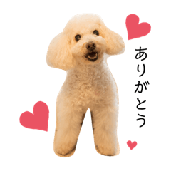 cream_20211221215842