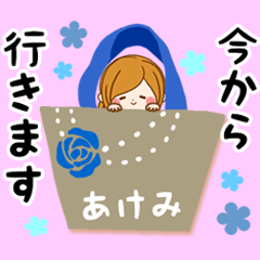 Sticker for exclusive use of Akemi 2