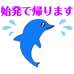 Dolphin bluecrif_20211222