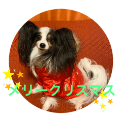 aozora_20211222081652