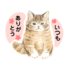 Cute animal stickers (Japanese message)