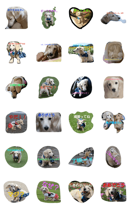 Kaninchen Dachshund