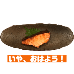 salmon says life is hard