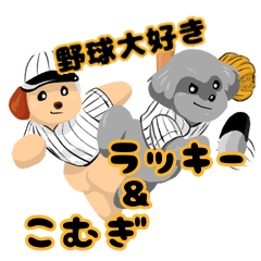 Lucky and Komugi, baseball fanatic bros.