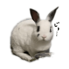 nakasuzu_20211222174950