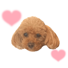 Yuina_20211222210523