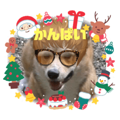miki_20211222210207
