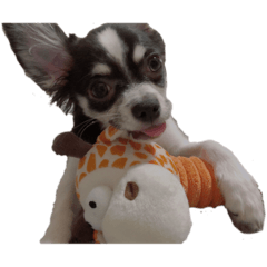 Smile_20211222221138