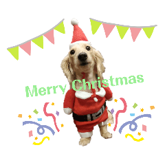 nozomi_20211222223531